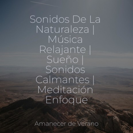 Viajes Encantados de Noche ft. Yoga Sounds & Guided Meditation | Boomplay Music