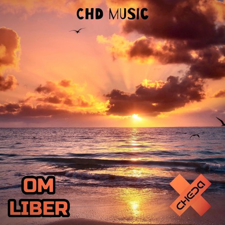OM LIBER (Original Mix) | Boomplay Music