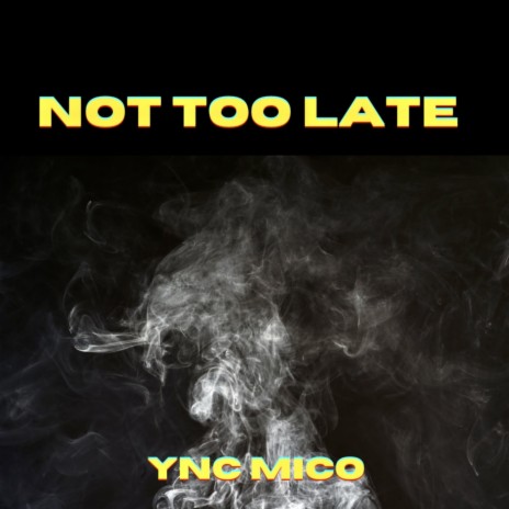 Not Too Late | Boomplay Music