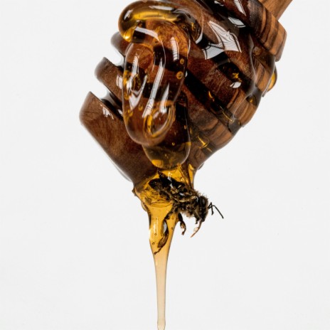 Bitter Bee