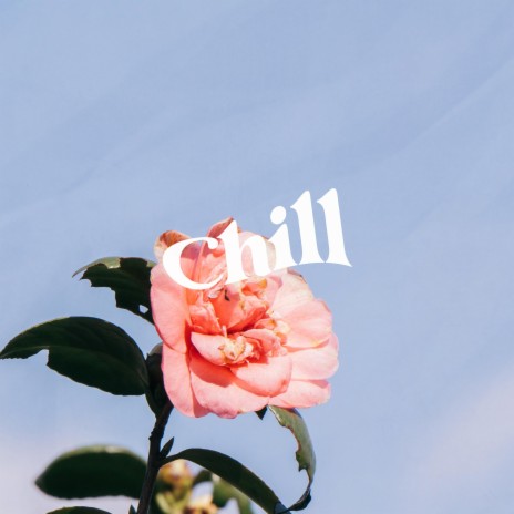 Chill | Boomplay Music