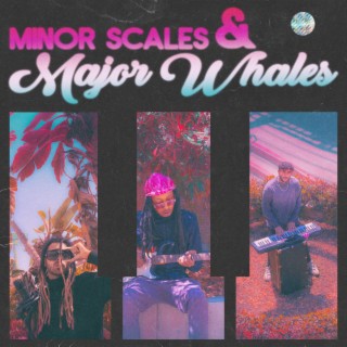 MINOR SCALES & MAJOR WHALES ❂