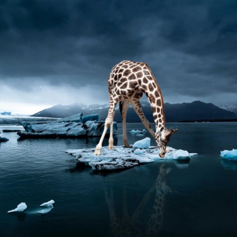 Once I Saw a Giraffe in Alaska | Boomplay Music