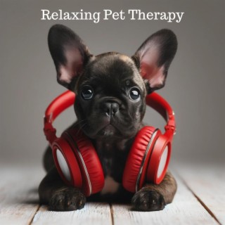 Relaxing Pet Therapy: Cure for Dog Depression, Anti Anxiety Zone