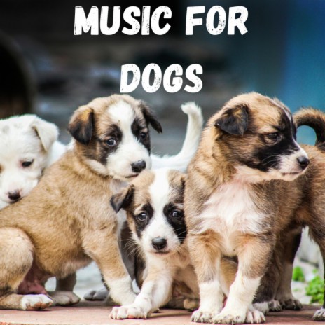 Tranquil Calm Music ft. Music For Dogs Peace, Calm Pets Music Academy & Relaxing Puppy Music | Boomplay Music