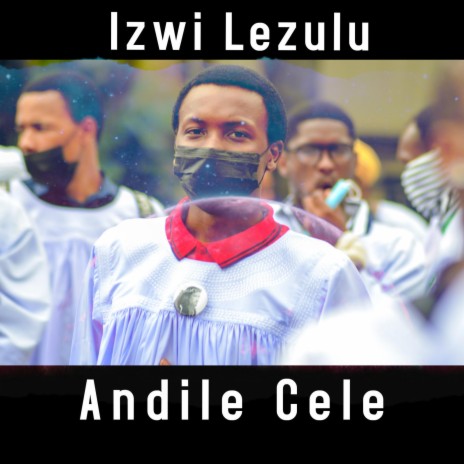 Izwi Lezulu Lizwakele Emhlabeni Wonke | Boomplay Music