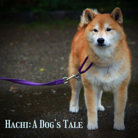 Goodbye (From Hachi: A Dog's Tale) | Boomplay Music