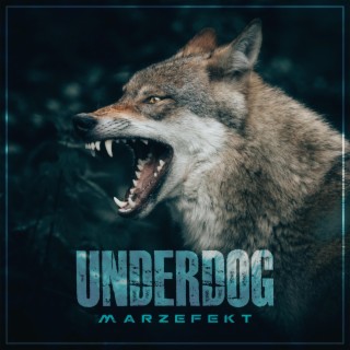 Marzefekt