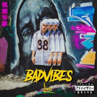 BAD VIBES lyrics | Boomplay Music