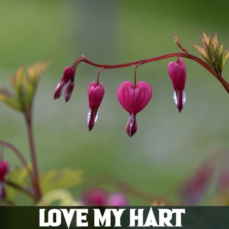 Love My Hart | Boomplay Music