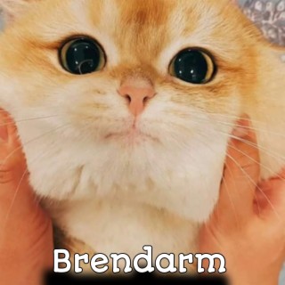 Brendarm