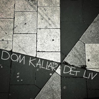 Dom kallar det liv lyrics | Boomplay Music