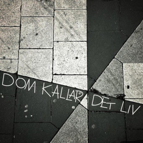 Dom kallar det liv | Boomplay Music