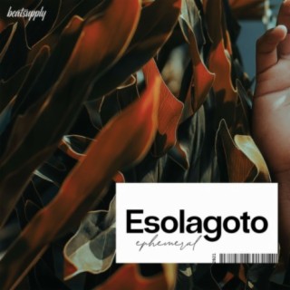 Esolagoto