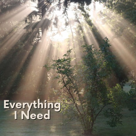 Everything I Need | Boomplay Music