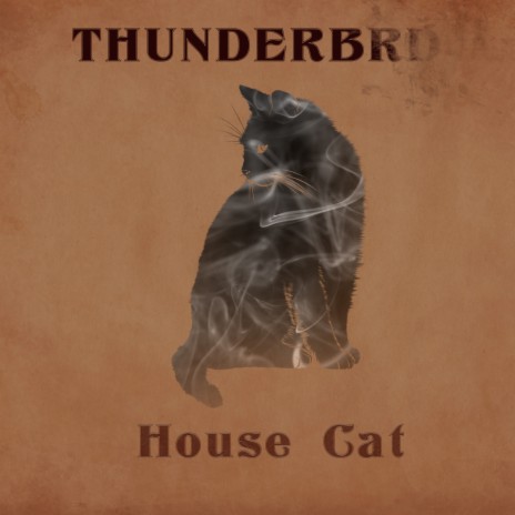 House Cat | Boomplay Music