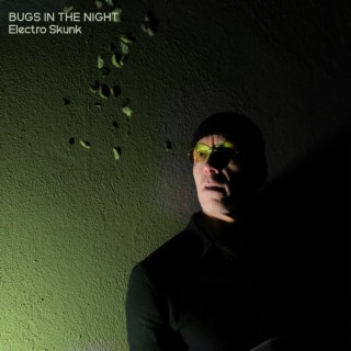 Bugs In The Night EP