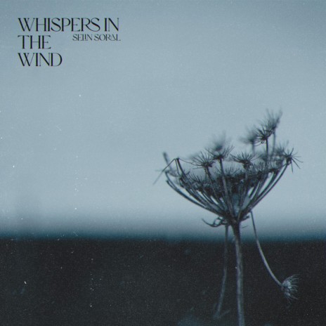 Whispers in the Wind | Boomplay Music