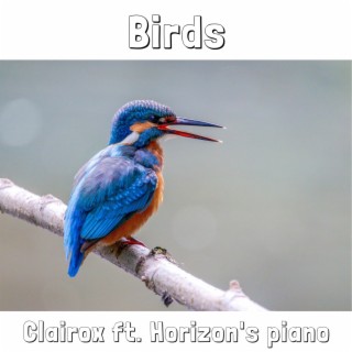 Birds lyrics | Boomplay Music