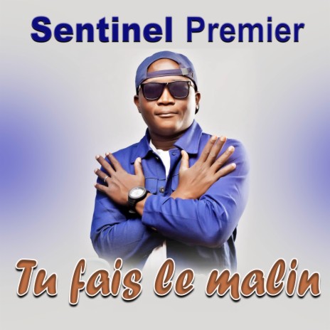 Tu fais le malin | Boomplay Music