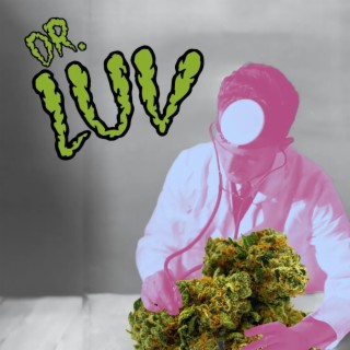 Dr Luv (Live Salad) lyrics | Boomplay Music