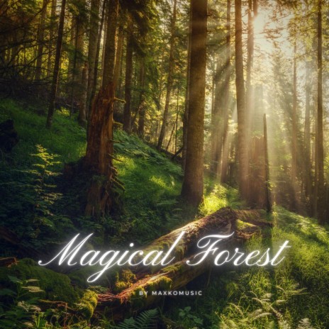 Magical Forest | Boomplay Music