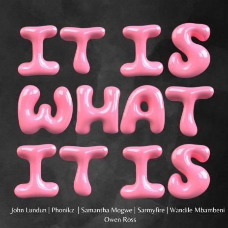 It Is What It Is ft. Wandile Mbambeni, Sarmyfire, John Lundun, Owen Ross & Phonikz | Boomplay Music