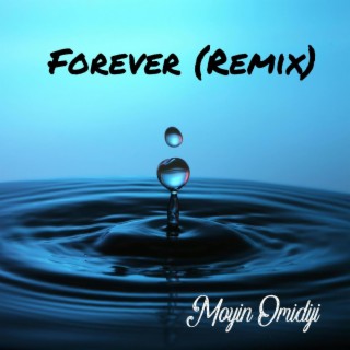 Forever (Remix) lyrics | Boomplay Music