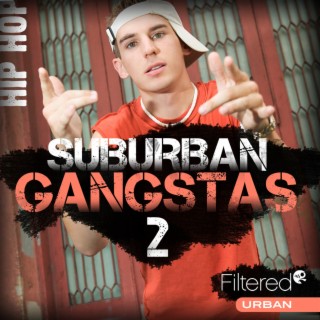Suburban Gangstas 2