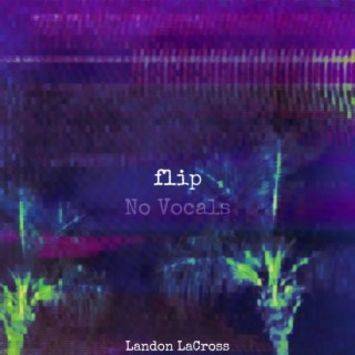 Flip (No Vocals)