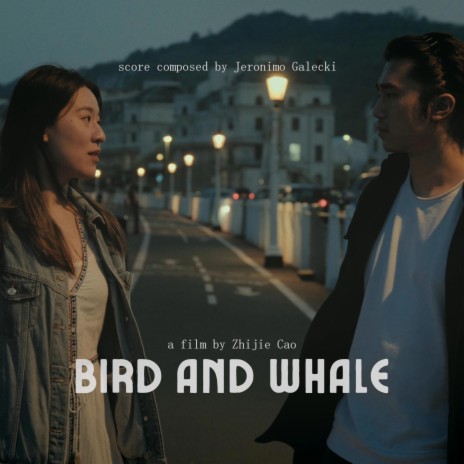 Bird and Whale