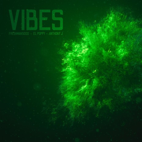 Vibes ft. El Poppy & Anthony J | Boomplay Music