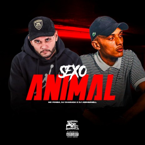 Sexo Animal ft. DJ CHARADA & DJ Abravanell | Boomplay Music