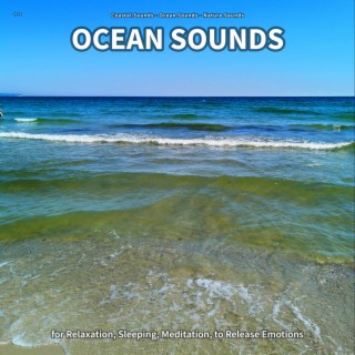 ** Ocean Sounds for Relaxation, Sleeping, Meditation, to Release Emotions