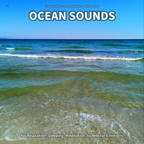 Ocean Sounds, Part 88 ft. Ocean Sounds & Nature Sounds