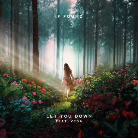Let You Down ft. Veda | Boomplay Music