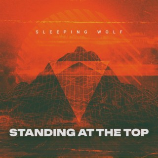 Standing at the Top lyrics | Boomplay Music