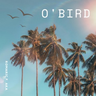 O'bird