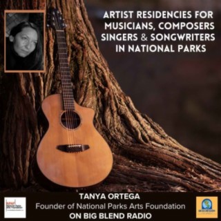 National Parks Arts Foundation - A Call for Musicians