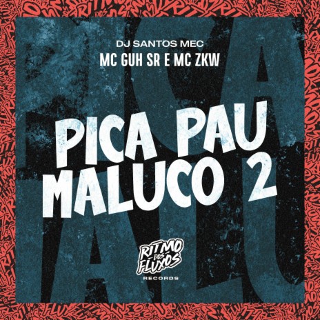 Pica Pau Maluco 2 ft. MC ZKW & DJ Santos MEC | Boomplay Music