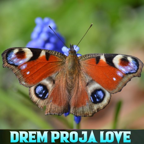 Drem Proja Love | Boomplay Music