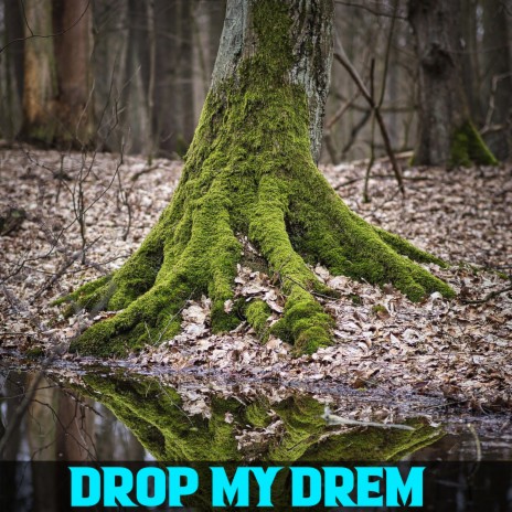 Drop My Drem | Boomplay Music