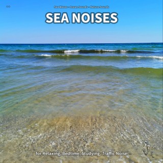 ** Sea Noises for Relaxing, Bedtime, Studying, Traffic Noise