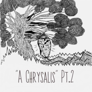 A Chrysalis, Pt. 2