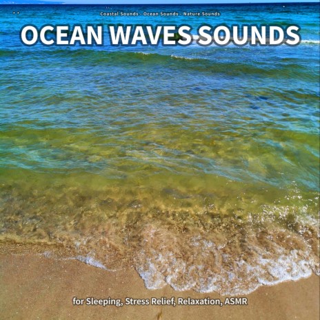 Ocean Waves Sounds, Part 79 ft. Ocean Sounds & Nature Sounds