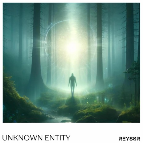 Unknown Entity | Boomplay Music