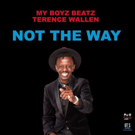 Not the Way (feat. Terence Wallen) | Boomplay Music