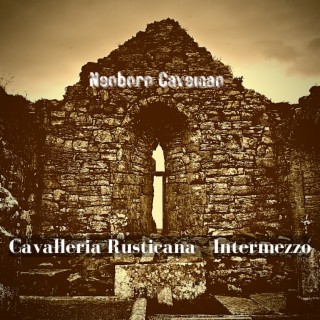 Cavalleria rusticana - Intermezzo