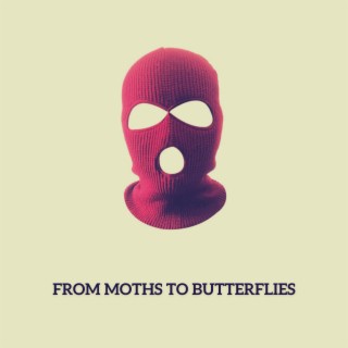 From Moths To Butterflies lyrics | Boomplay Music