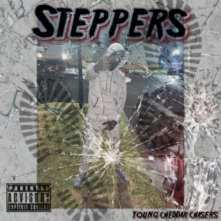 Steppers